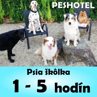Denná škôlka 1 - 5 hodín