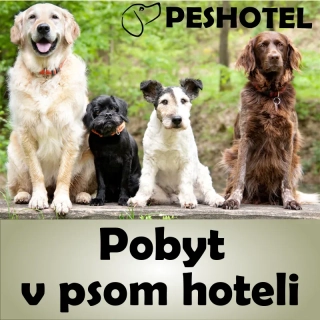 Pobyt, cena 27 € / deň